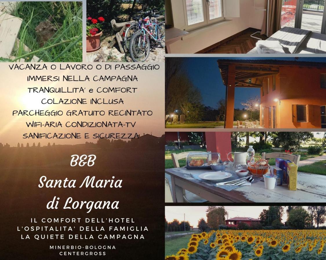 Bed and Breakfast Santa Maria Di Lorgana Минербио Экстерьер фото